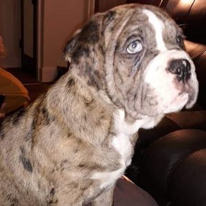 Meet your Posher, Chad